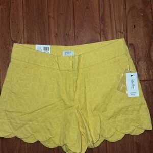 CROWN AND IVY Scalloped Yellow High Waist Shorts